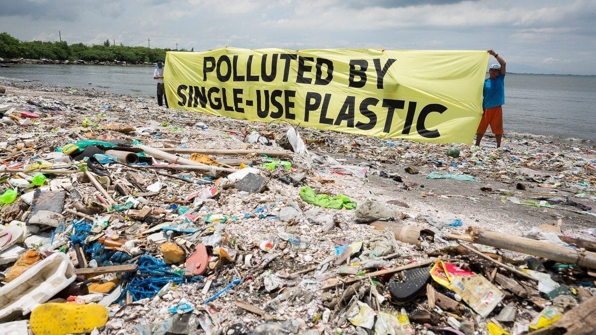 plastik problemi