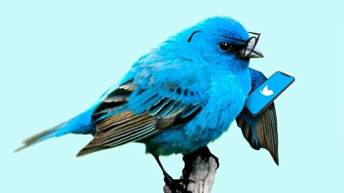 Twitter iOS İçin "Tweet Yanıtları Sınırlaması" Özelliği Getirdi