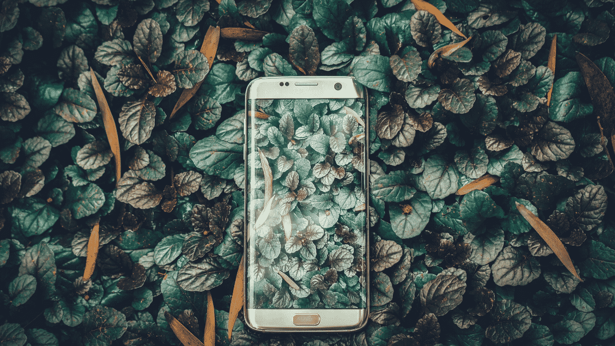 Mobile Developer Yol Haritası: Android Platformu