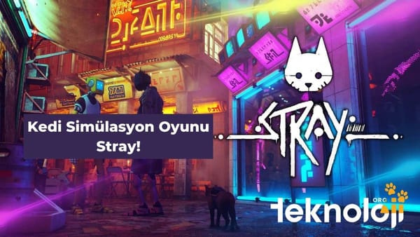 stray çıkış tarihi