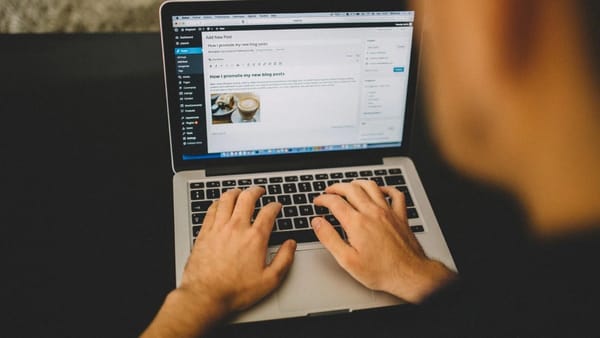 en iyi wordpress temaları