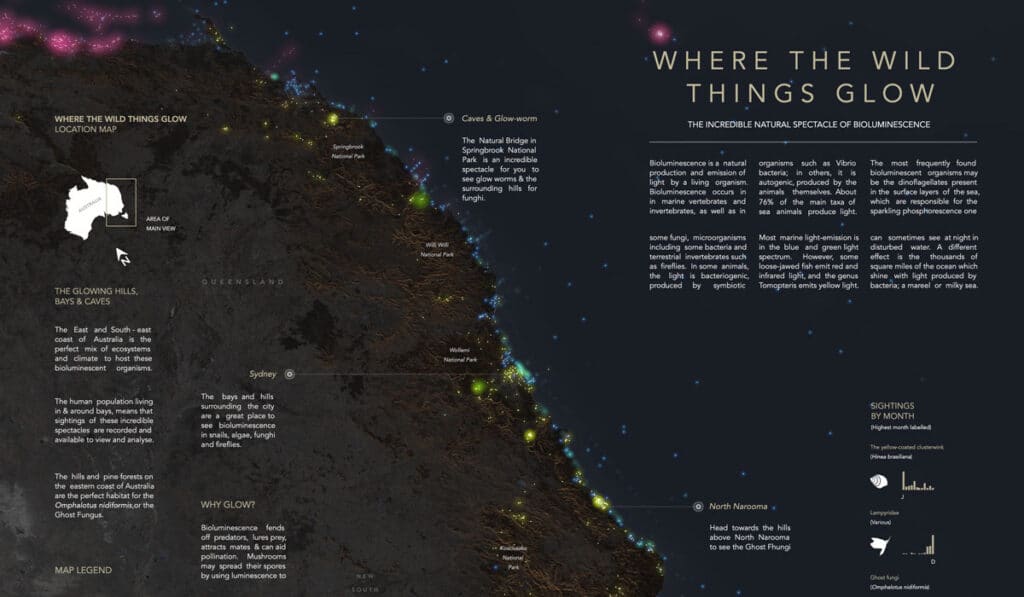 where-the-wild-things-glow