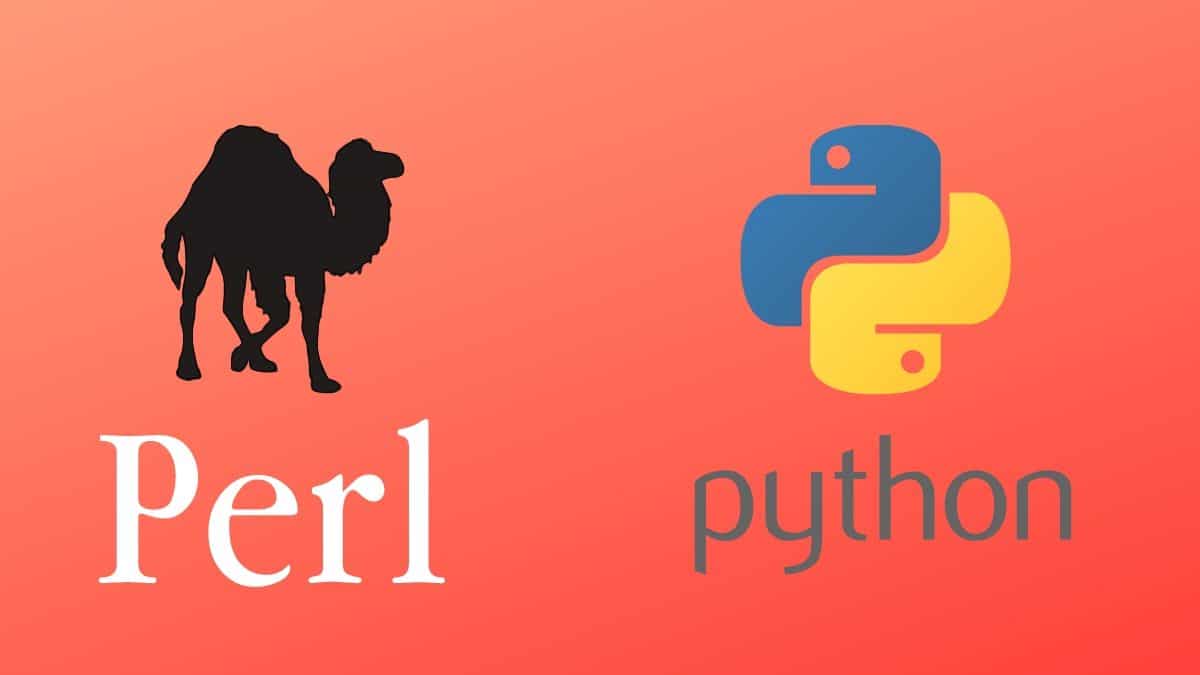 Perl Programlama Dili Nedir? Nasıl Kullanılır?