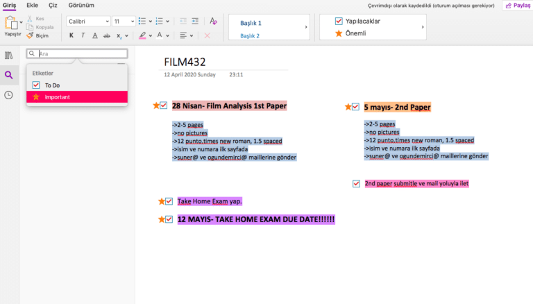 ONENOTE DIGITAL NOT ALMA UYGULAMAS visual data 3