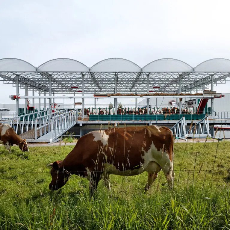 Rotterdam Yüzen Çiftlik Projesi