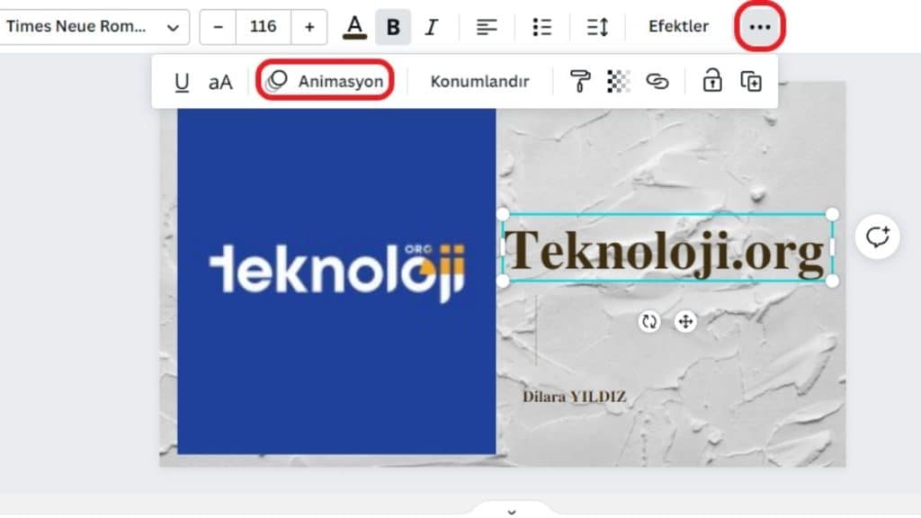 Animasyon Seçimi Canva ile Slayt Nasıl Yapılır - 7